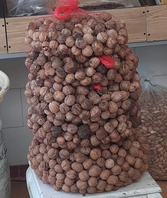 گردو کیلویی600