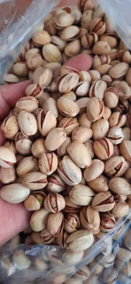 پسته بدون دهن بست محصول باغات رفسنجان موجود در مجموعه مزرعه