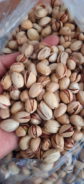 پسته بدون دهن بست محصول باغات رفسنجان موجود در مجموعه مزرعه