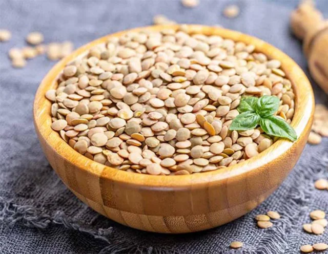 عدس آبی مجموعه مزرعه تویسرکان