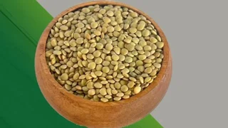 عدس رسمی(دیم)مجموعه مزرعه تویسرکان
