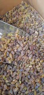 انواع کشمش سایه خشک در مجموعه مزرعه تویسرکان