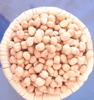 نخود رسمی در مجموعه مزرعه تویسرکان